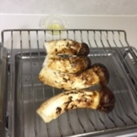 松茸をグリルで焼いて スダチ レシピ 作り方 By 2727椿 楽天レシピ 松茸をグリルで焼いて スダチ レシピ 作り方 By 2727椿 楽天レシピ